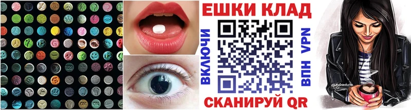 Купить закладки  Светлогорск  Ecstasy DUBAI 