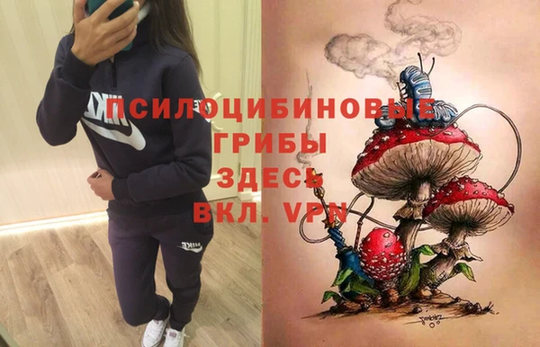 кокаин премиум Горнозаводск