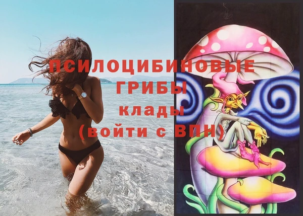 бутират Горно-Алтайск