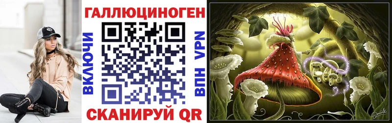 Псилоцибиновые грибы Magic Shrooms  Купить где  Светлогорск 